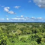 Vanihya