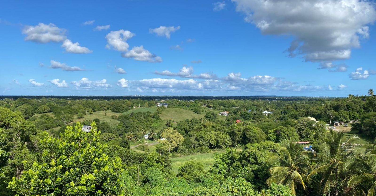 Vanihya * Sainte-Anne (Grande-Terre)